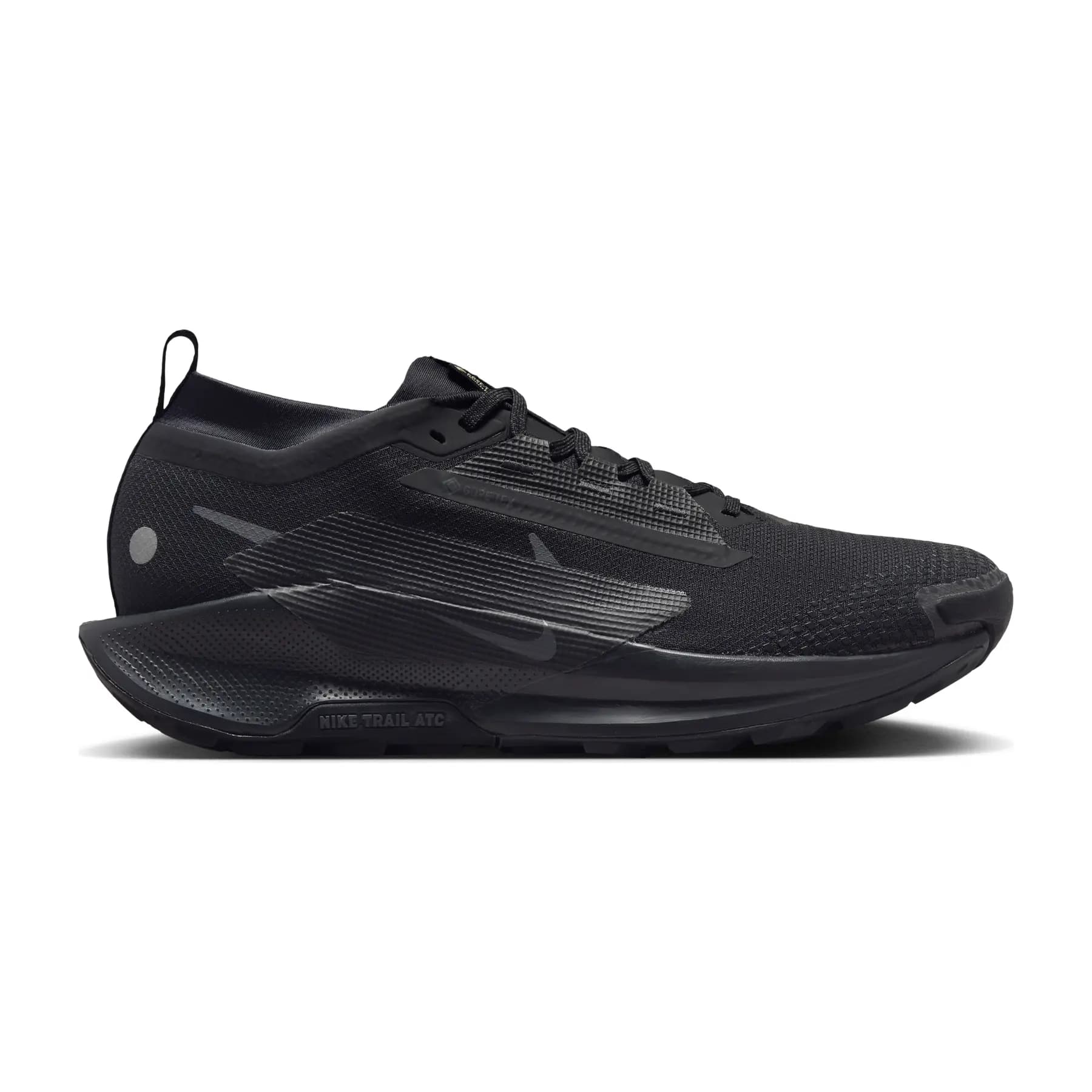 Zapatillas de trail Nike Pegasus 5 Gore-Tex