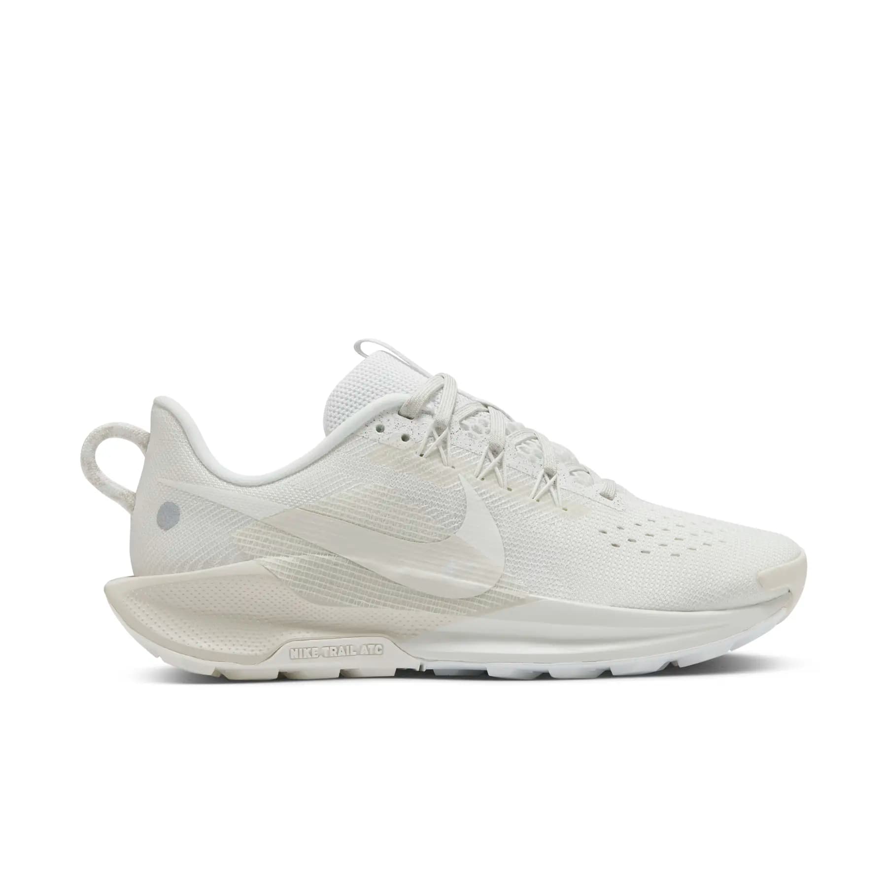 Nike Pegasus 5