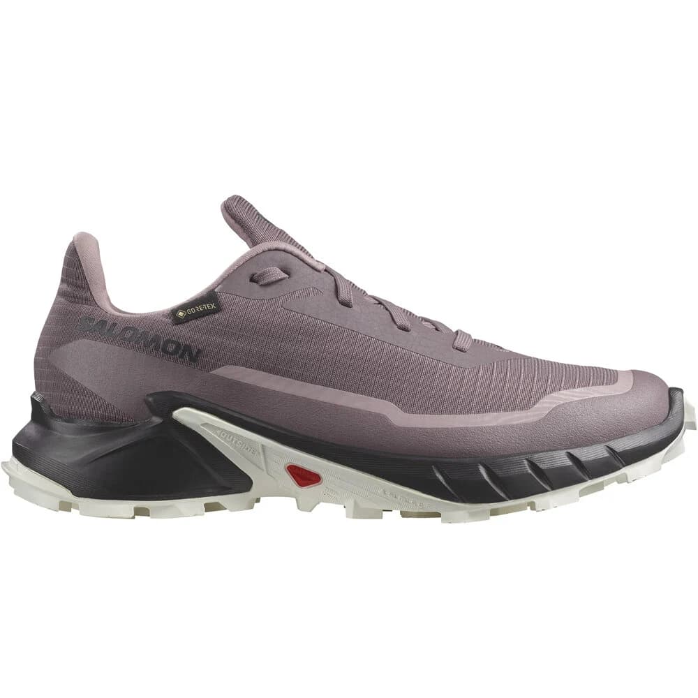 Salomon Alphacross 5 Gore Tex