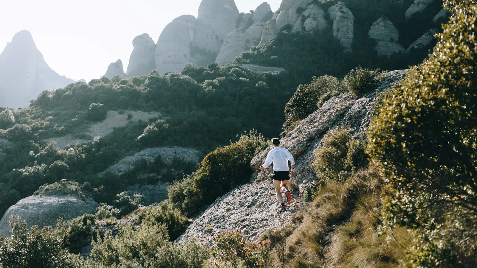 Varias personas entrenan base, subida, bajada y nutrición a lo largo de una ruta progresiva hacia una salida de trail