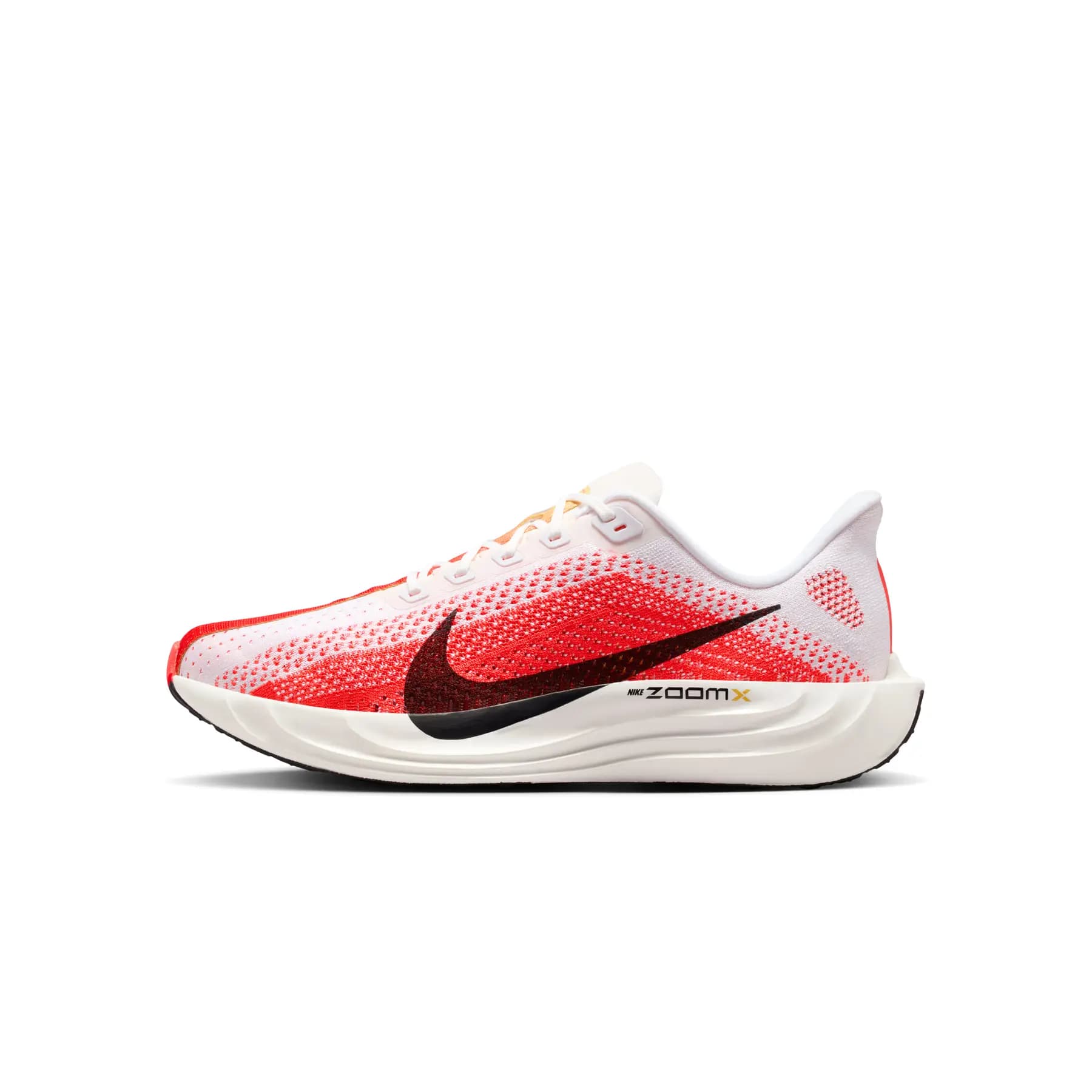 Zapatillas de running Nike Pegasus Plus