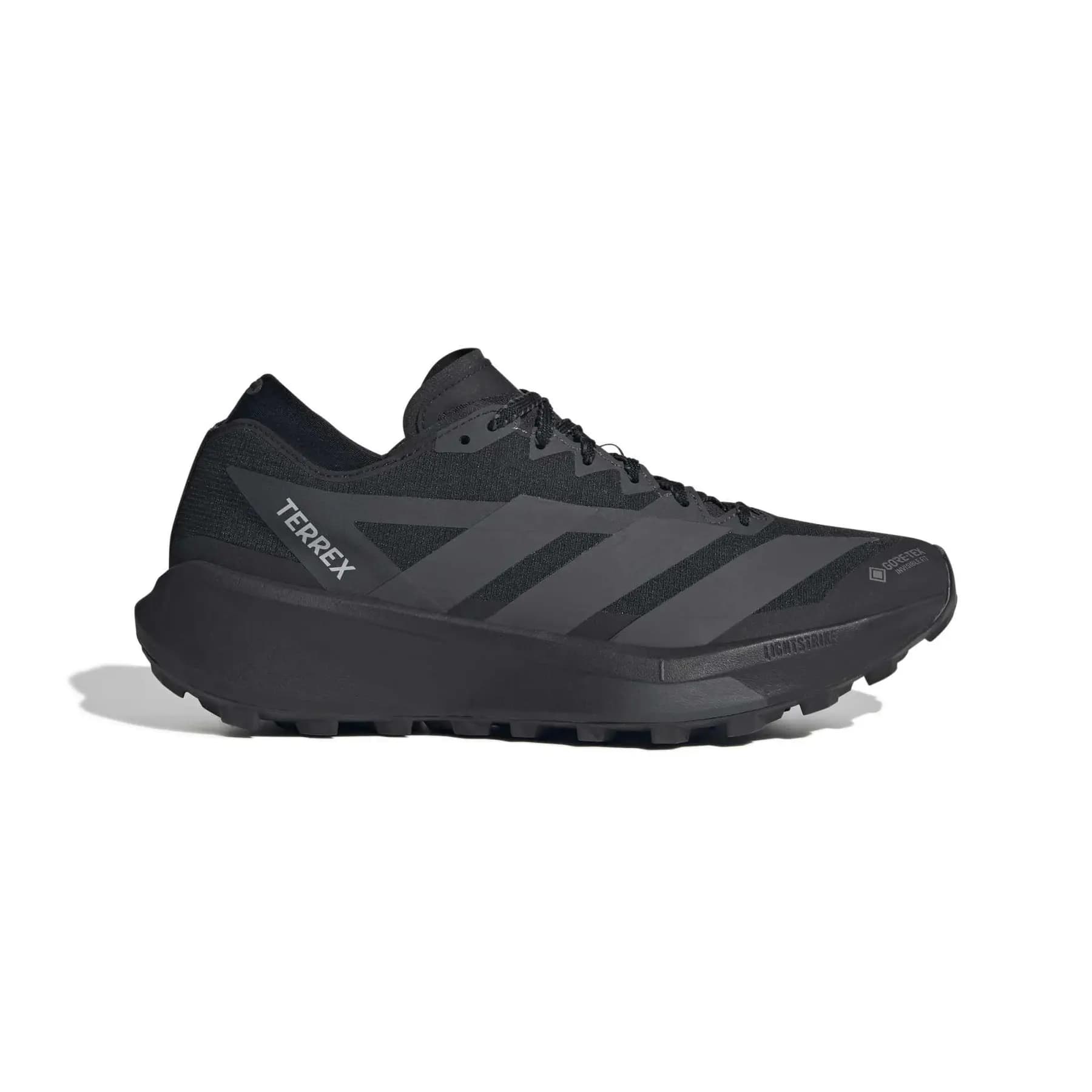 Adidas trail Terrex Agravic Gore-Tex 2 — zapatillas de running