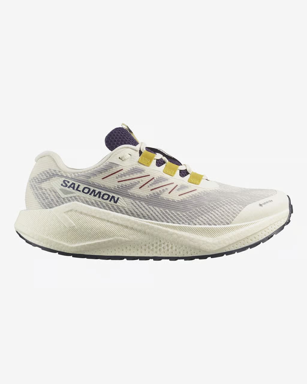 Zapatillas Salomon Aero Blaze 3 Grvl GORE-TEX beige gris